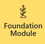 Foundation Module